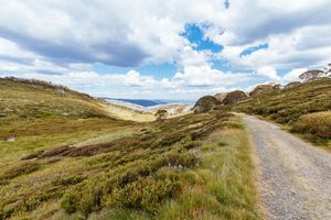 Great Alpine Walk